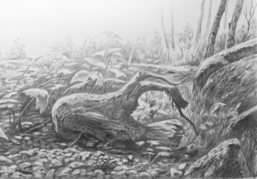 图画 标题为“arbre mort” 由Franzart, 原创艺术品, 铅笔