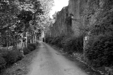 Fotografía titulada "Camon" por Frédéric Duchesnay, Obra de arte original, Fotografía analógica