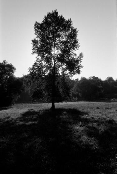 Fotografie getiteld "Silhouette" door Frédéric Duchesnay, Origineel Kunstwerk, Film fotografie
