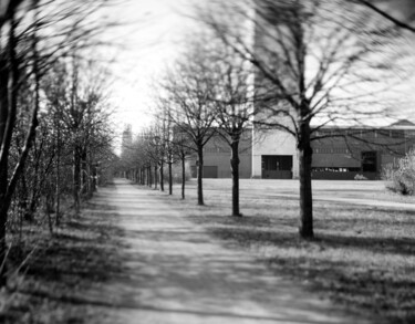 Fotografia intitolato "Le chemin minier" da Frédéric Duchesnay, Opera d'arte originale, fotografia a pellicola