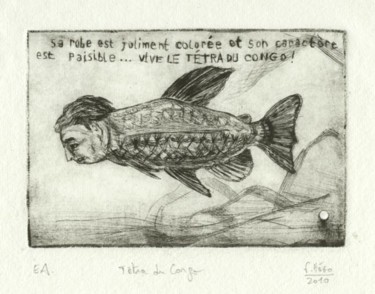 Dessin intitulée "Tétra du Congo." par Frhégo, Œuvre d'art originale, Autre