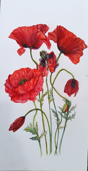 Painting titled "Poppies" by Ftvladi_art, Original Artwork, Watercolor