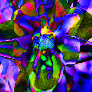 Arts numériques intitulée "strange-flowers-28" par Gabriel Cotelle, Œuvre d'art originale