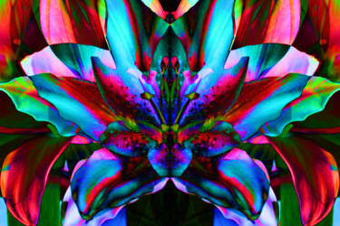 Fotografía titulada "Fleur de mon jardin…" por Gabriel Cotelle, Obra de arte original, Fotografía digital