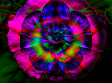 Fotografie getiteld "Fleur de mon jardin…" door Gabriel Cotelle, Origineel Kunstwerk, Digitale fotografie