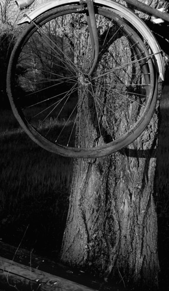 Photographie intitulée "Installation ?" par Gabriel Cotelle, Œuvre d'art originale