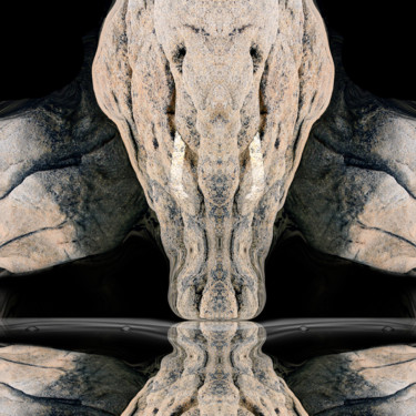 Arts numériques intitulée "Mémoire d'éléphant" par Gabriel Cotelle, Œuvre d'art originale, Photo montage