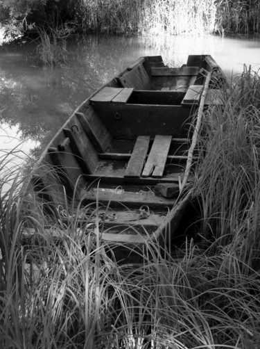 Photographie intitulée "Abandonnée elle aus…" par Gabriel Cotelle, Œuvre d'art originale, Photographie numérique