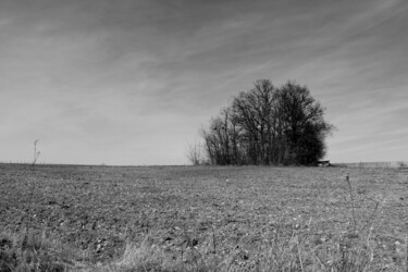 Photographie intitulée "L'oasis" par Gabriel Cotelle, Œuvre d'art originale, Photographie numérique