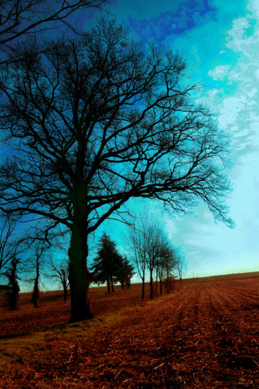 摄影 标题为“La terre est bleue…” 由Gabriel Cotelle, 原创艺术品, 数码摄影