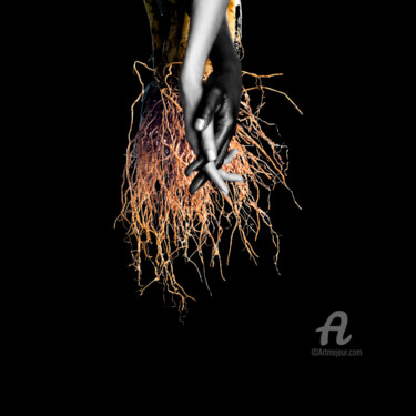 Digital Arts titled "roots of love" by Gabriela Radiante, Original Artwork, Photo Montage