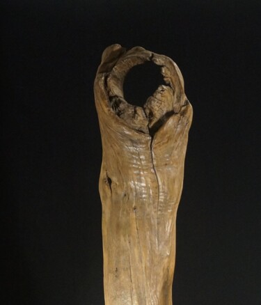 Sculpture titled "Le cercle parfait" by Gaël Maryn, Original Artwork, Wood