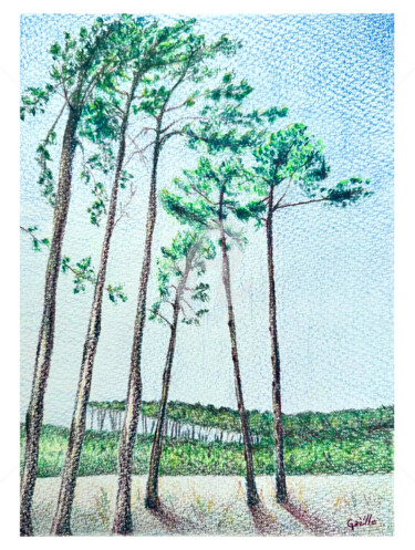 「Les pins des Landes」というタイトルの描画 Gaëlleによって, オリジナルのアートワーク, 鉛筆