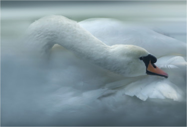 Arts numériques intitulée "White Swan" par Gai Yu, Œuvre d'art originale, Impression numérique