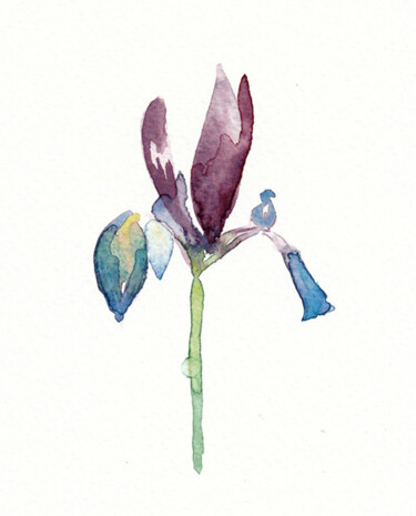 Картина под названием "iris2" - Galerie Kawak, Подлинное произведение искусства, Акварель