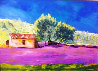 Peinture intitulée "Cabanon en Provence" par Arlette Flécher, Œuvre d'art originale, Huile