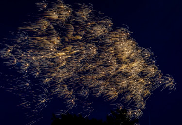 Fotografie mit dem Titel "Fireworks Drifting" von Gareth P Jones, Original-Kunstwerk, Digitale Fotografie