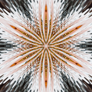 Arts numériques intitulée "Golden Snowflake" par Gareth P Jones, Œuvre d'art originale, Photographie numérique