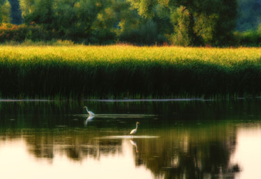 Photographie intitulée "Tranquility" par Gareth P Jones, Œuvre d'art originale, Photographie numérique Monté sur Aluminium