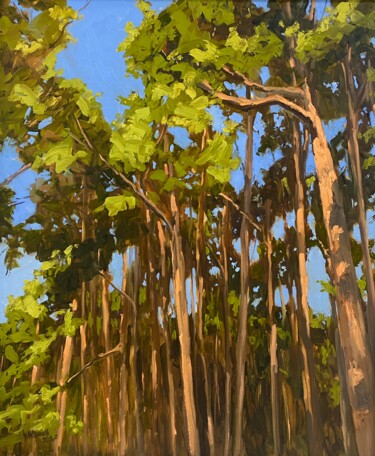 Pittura intitolato "Sunlit Pines" da Gary Westall, Opera d'arte originale, Olio