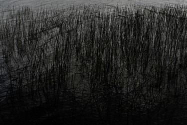 Fotografia zatytułowany „"Bord de lac"” autorstwa Christophe Jeanjean, Oryginalna praca, Fotografia cyfrowa