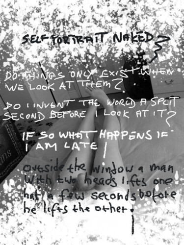 "Self Portrait Naked" başlıklı Dijital Sanat Gee Shepherd tarafından, Orijinal sanat, 2D Dijital Çalışma
