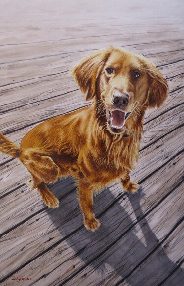 Peinture intitulée "Golden Retriever" par Geni Gorani, Œuvre d'art originale, Aquarelle