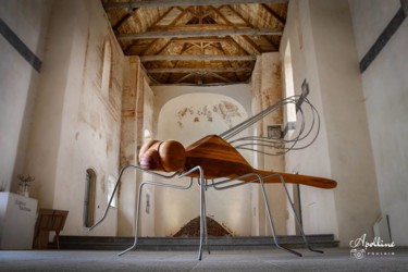 Скульптура под названием "sculpture-libellule…" - Marc Georgeault, Подлинное произведение искусства, Металлы