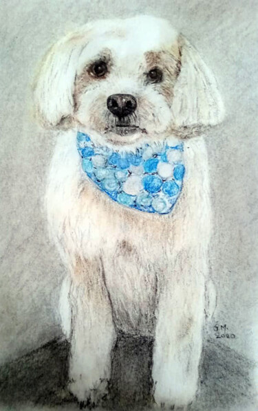 제목이 "Σκύλος με φουλάρι"인 그림 Georgia Melanitou (G.M.)로, 원작, 숯