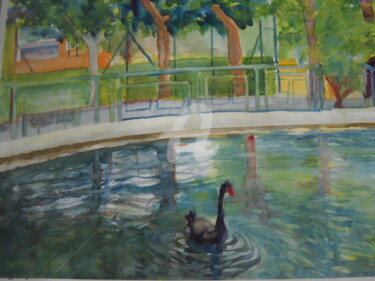 Peinture intitulée "le cygne noir" par Gérald Janowski, Œuvre d'art originale, Aquarelle