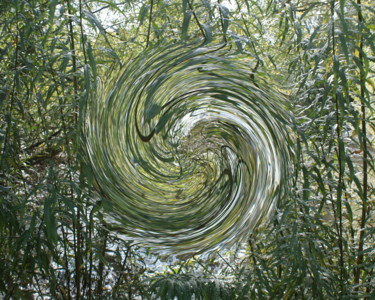 「The Swirl」というタイトルの写真撮影 Gerald Shepherd F.F.P.S.によって, オリジナルのアートワーク, デジタル