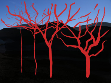 Artes digitais intitulada "Red Trees" por Gerald Shepherd F.F.P.S., Obras de arte originais, Pintura digital