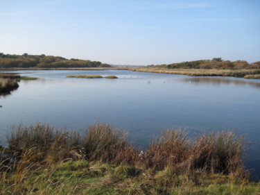 Fotografia zatytułowany „Nature's Lake” autorstwa Gerald Shepherd F.F.P.S., Oryginalna praca, Fotografia cyfrowa