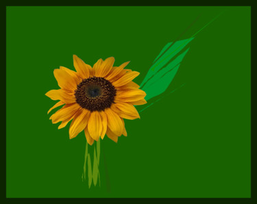 Grafika cyfrowa / sztuka generowana cyfrowo zatytułowany „Sunflower In Invisi…” autorstwa Gerald Shepherd F.F.P.S., Oryginal…