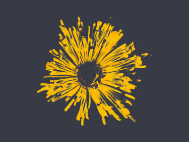 Digital Arts titled "Pleiospilos Flower" by Gerald Shepherd F.F.P.S., Original Artwork, 2D Digital Work