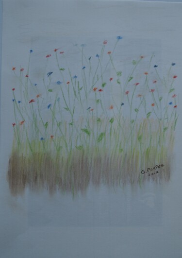 Dibujo titulada "champ de fleur" por Gerard Pompee, Obra de arte original, Pastel