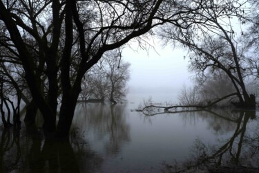 Fotografia intitulada "brumes 1" por Gérard Romain, Obras de arte originais, Fotografia digital Montado em Alumínio