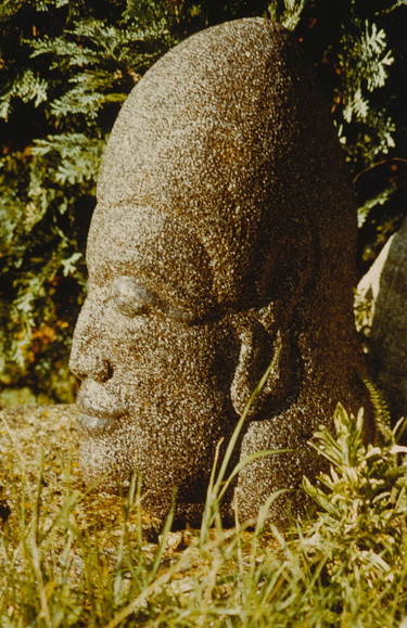 Scultura intitolato "TETE" da Gérard Didier, Opera d'arte originale, Pietra