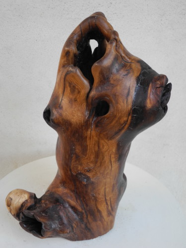 Sculpture titled "CYTISE 5" by Gérard Didier, Original Artwork, Wood