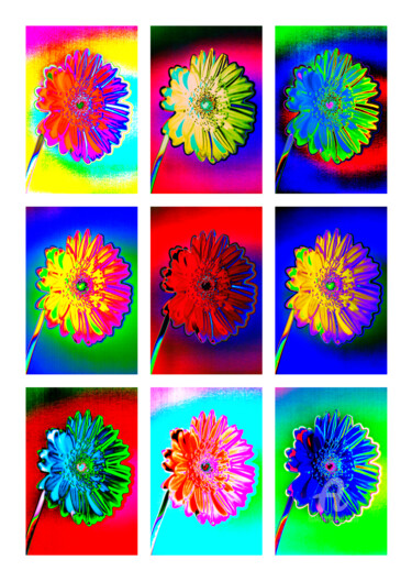 Fotografía titulada "9erMacGerbera8G" por Gerhard Bumann, Obra de arte original, Fotografía manipulada