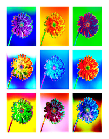 Photography titled "9erMacGerbera10aG" by Gerhard Bumann, Original Artwork, Manipulated Photography