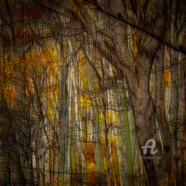 Grafika cyfrowa / sztuka generowana cyfrowo zatytułowany „Autumn” autorstwa Germaneart, Oryginalna praca, Malarstwo cyfrowe