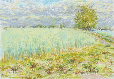 Drawing titled "A Field, Selchow. G…" by Gerry Miller, Original Artwork, Pastel