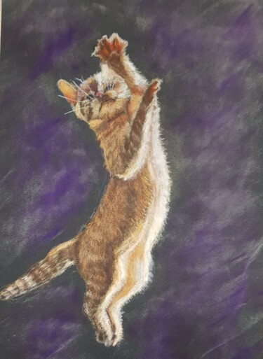Drawing titled "le chat qui saute" by Ghislaine Rimmen-Mohl, Original Artwork, Pastel