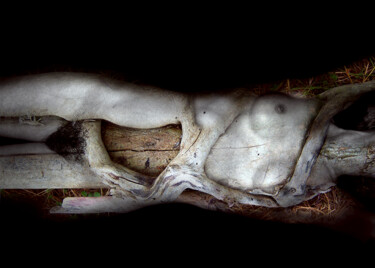 Fotografía titulada "ARBRE MAGIQUE" por Giancarlo Amici, Obra de arte original, Fotografía analógica