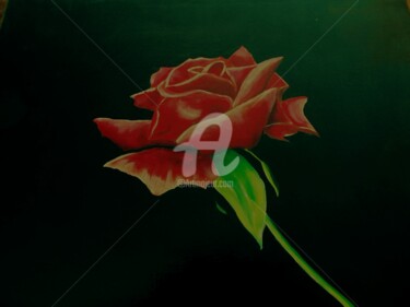Pittura intitolato "rosa.jpg" da Giancarlo Turchini, Opera d'arte originale, Olio