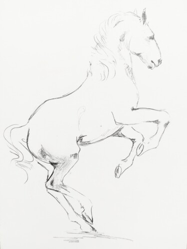 Desenho intitulada "Cheval 12" por Gil Aline, Obras de arte originais, Lápis