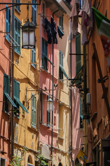 "green windows and p…" başlıklı Fotoğraf Gilliard Bressan tarafından, Orijinal sanat, Dijital Fotoğrafçılık