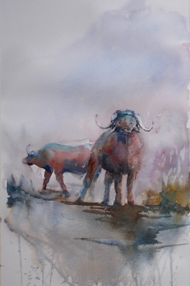 Peinture intitulée "buffalos" par Giorgio Gosti, Œuvre d'art originale, Aquarelle