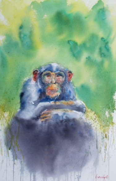 Peinture intitulée "chimpanzee" par Giorgio Gosti, Œuvre d'art originale, Aquarelle